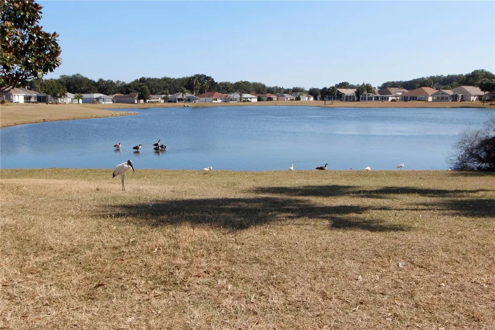 17996 SE 115TH CIRCLE Summerfield, FL 34491