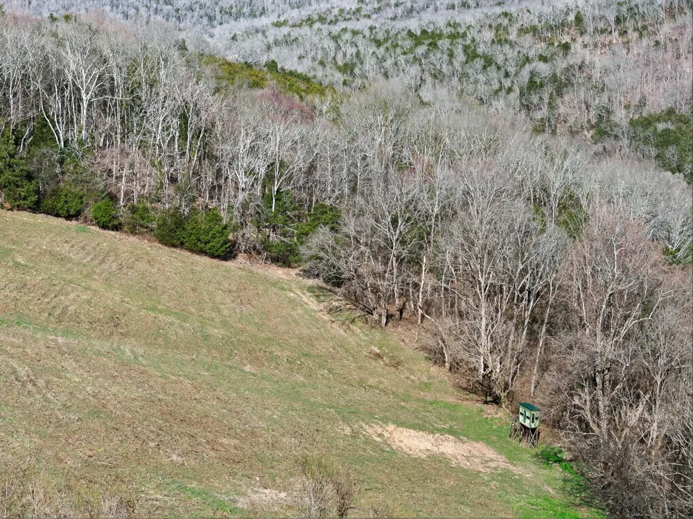 1700 Hannah Branch Rd Liberty, TN 37095