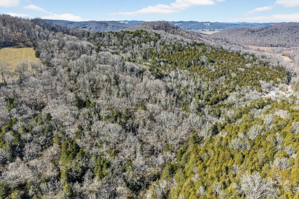 1700 Hannah Branch Rd Liberty, TN 37095