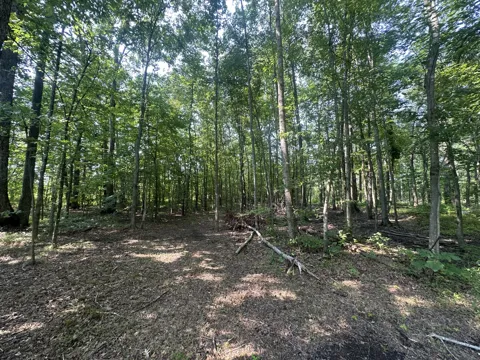 0 S Pinson Dr