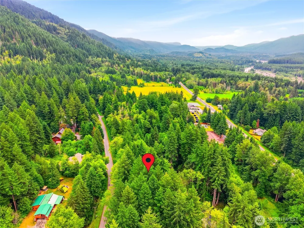 31418 Mount Tahoma Canyon Road E Ashford, WA 98304