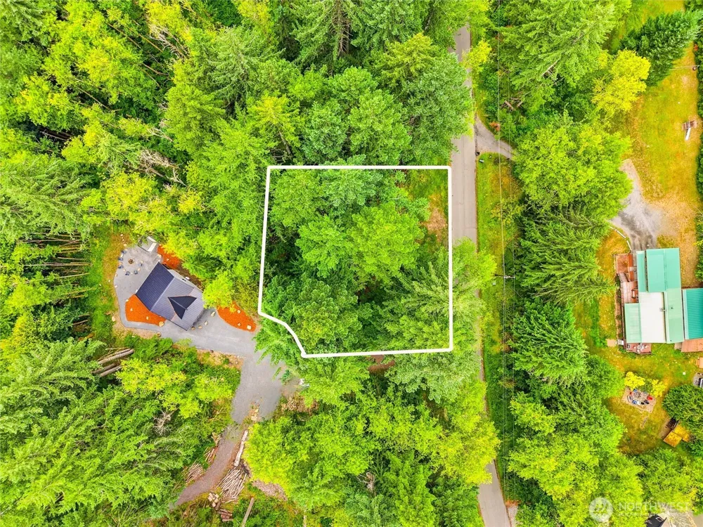 31418 Mount Tahoma Canyon Road E Ashford, WA 98304