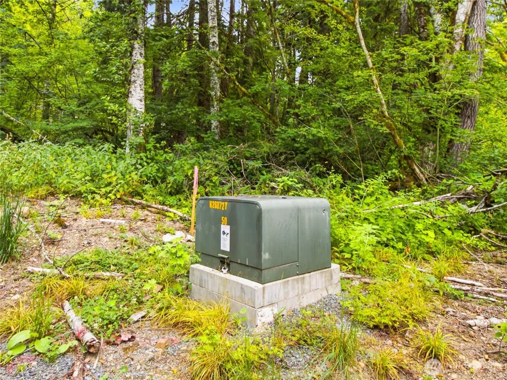 31418 Mount Tahoma Canyon Road E Ashford, WA 98304