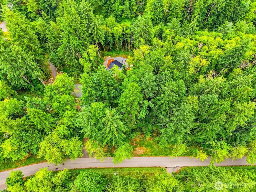 31418 Mount Tahoma Canyon Road E Ashford, WA 98304