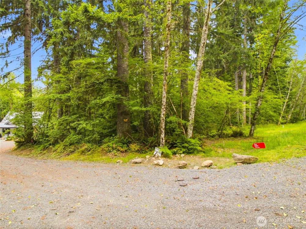 31418 Mount Tahoma Canyon Road E Ashford, WA 98304