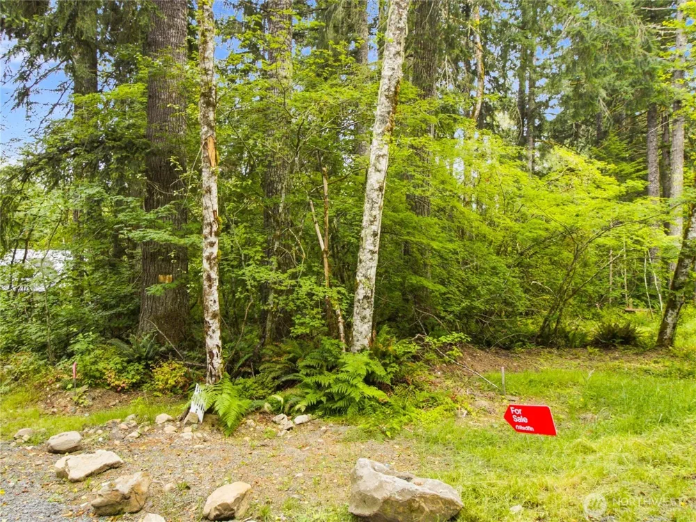 31418 Mount Tahoma Canyon Road E Ashford, WA 98304