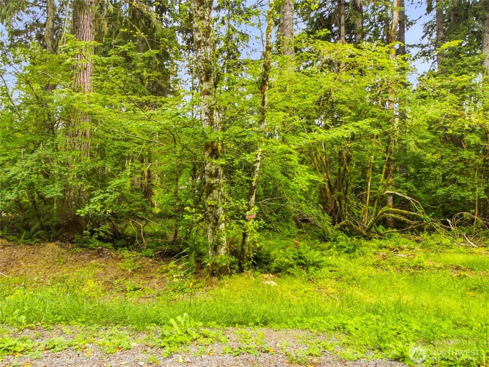 31418 Mount Tahoma Canyon Road E Ashford, WA 98304