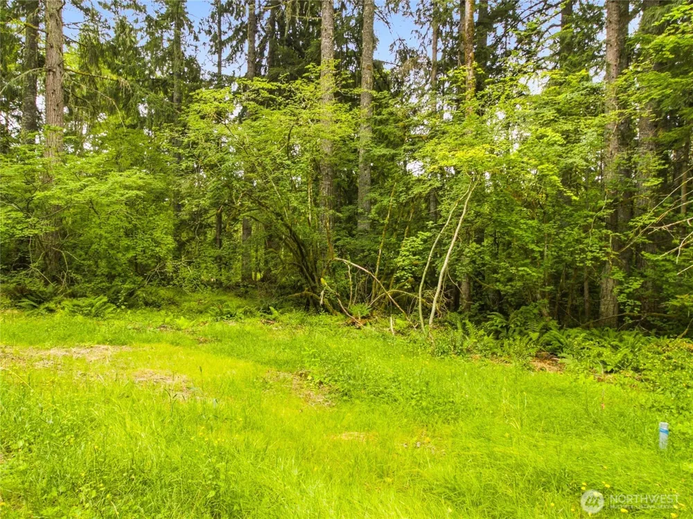 31418 Mount Tahoma Canyon Road E Ashford, WA 98304