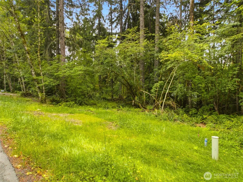 31418 Mount Tahoma Canyon Road E Ashford, WA 98304