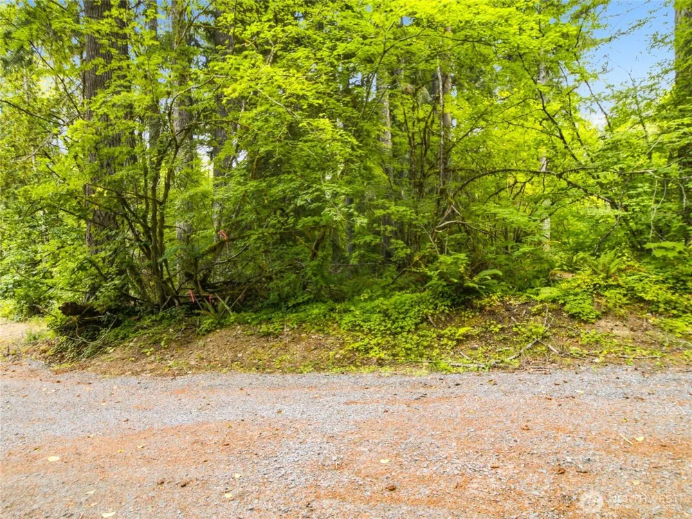 31418 Mount Tahoma Canyon Road E Ashford, WA 98304