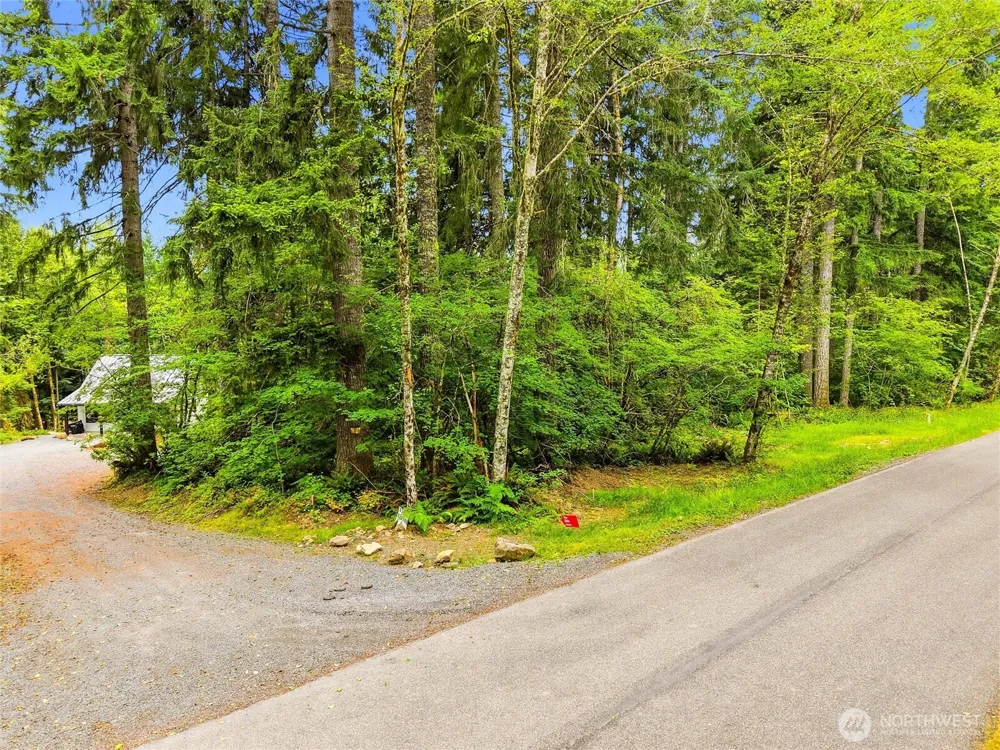 31418 Mount Tahoma Canyon Road E Ashford, WA 98304