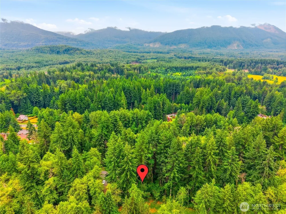 31418 Mount Tahoma Canyon Road E Ashford, WA 98304