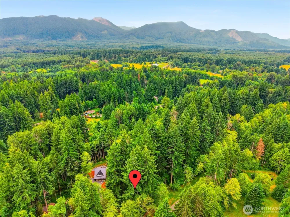 31418 Mount Tahoma Canyon Road E Ashford, WA 98304