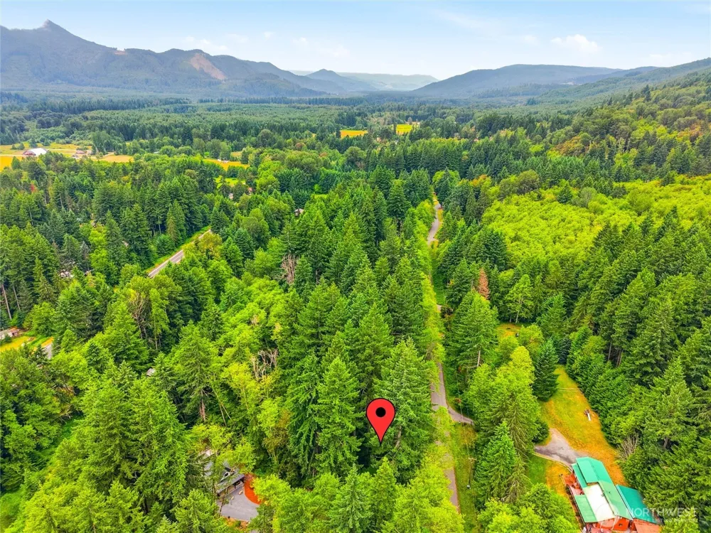 31418 Mount Tahoma Canyon Road E Ashford, WA 98304