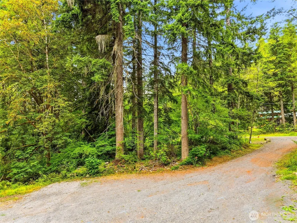 31418 Mount Tahoma Canyon Road E Ashford, WA 98304