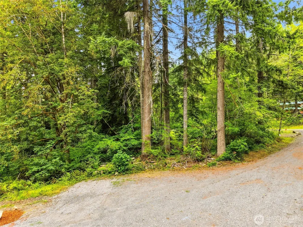 31418 Mount Tahoma Canyon Road E Ashford, WA 98304