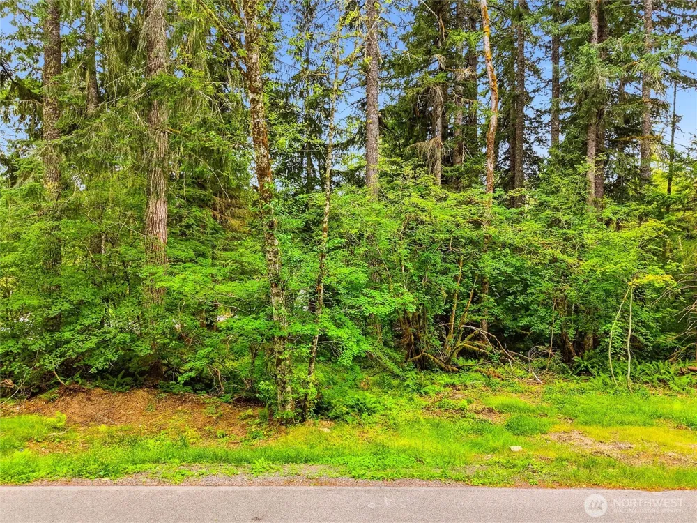 31418 Mount Tahoma Canyon Road E Ashford, WA 98304
