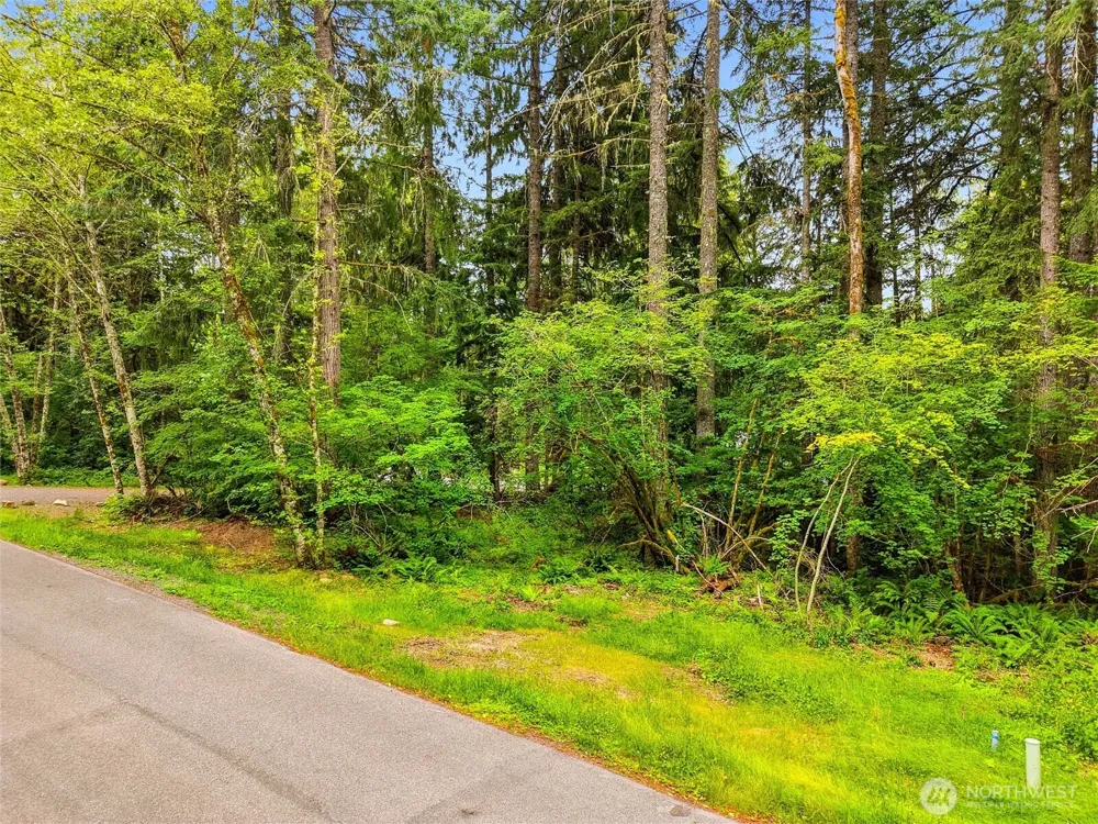 31418 Mount Tahoma Canyon Road E Ashford, WA 98304