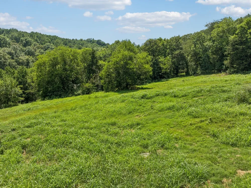 0 Club Springs Rd Elmwood, TN 38560