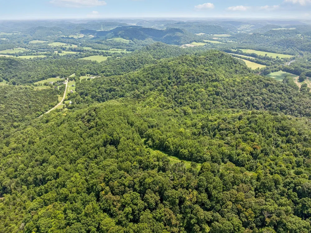 0 Club Springs Rd Elmwood, TN 38560