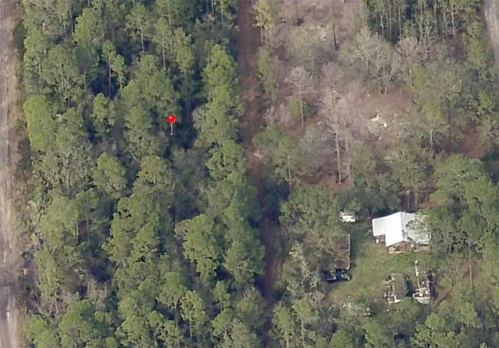 00 NE 65TH AVENUE Citra, FL 32113