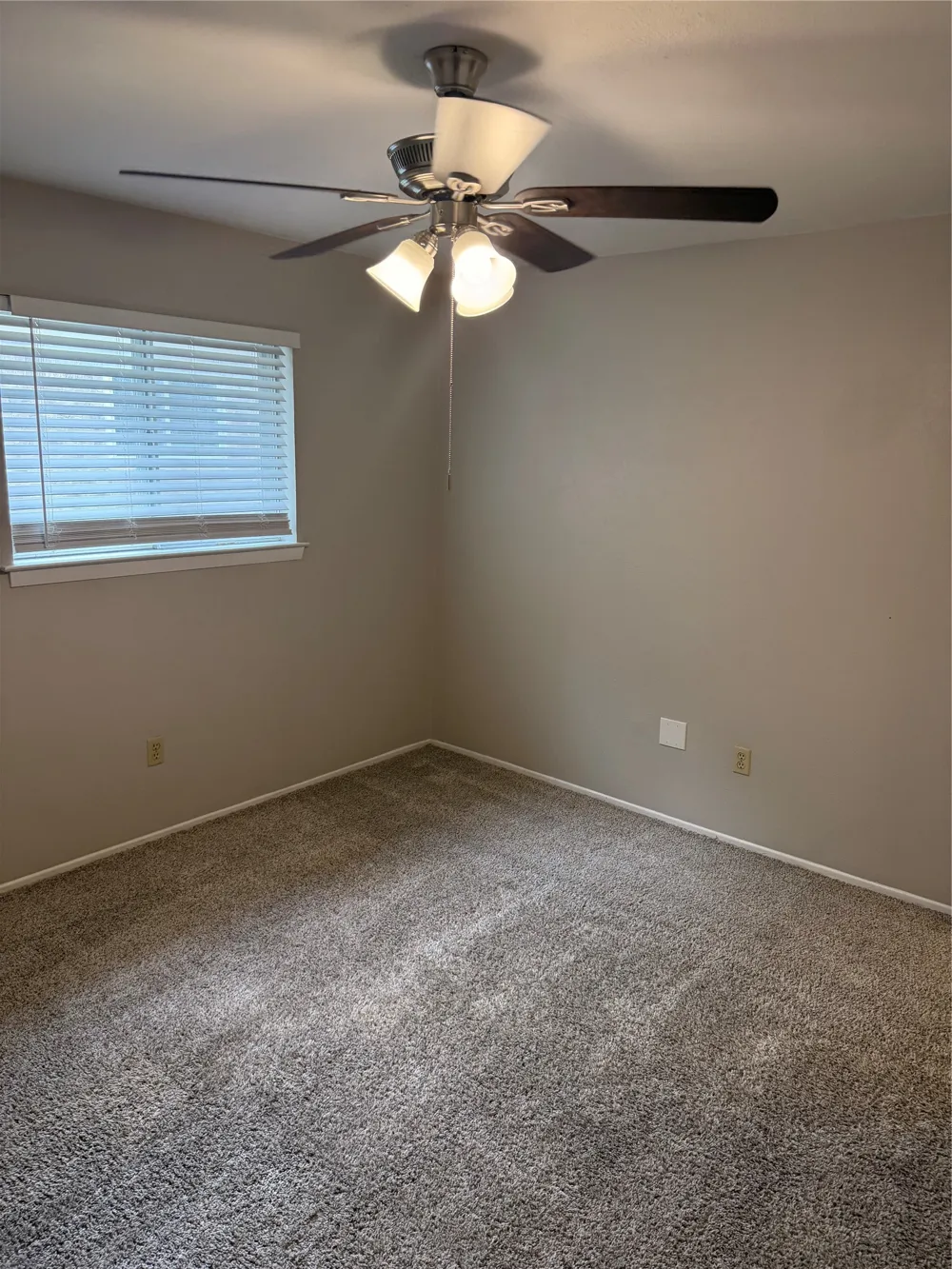 3004 David Lane Arlington, TX 76013