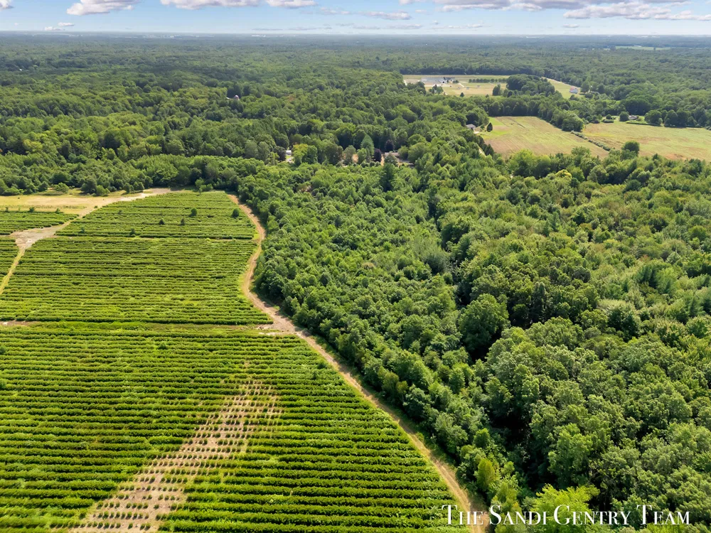 Johnson Road Fruitport, MI 49415