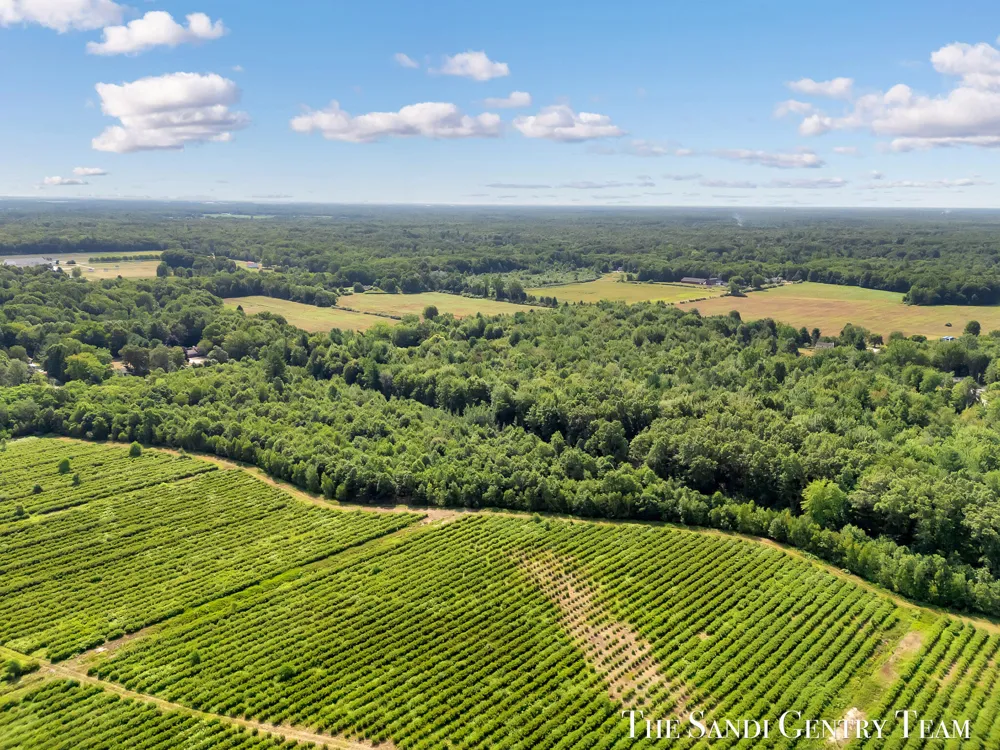 Johnson Road Fruitport, MI 49415