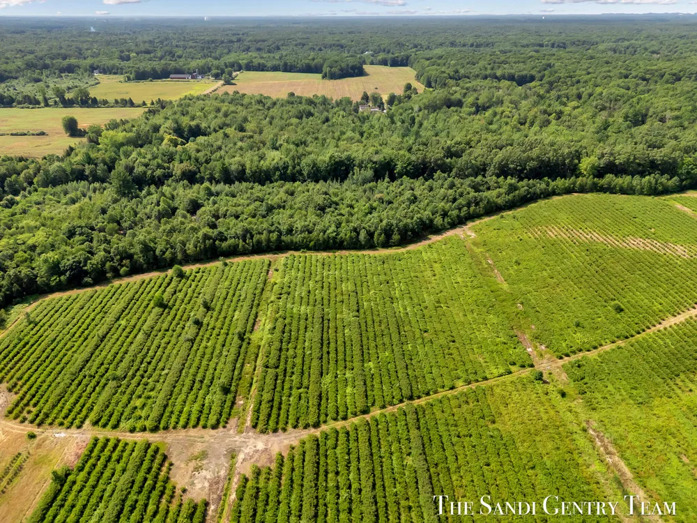 Johnson Road Fruitport, MI 49415