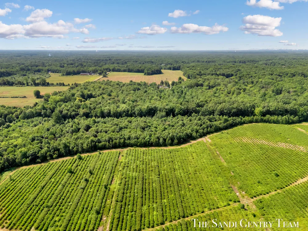 Johnson Road Fruitport, MI 49415