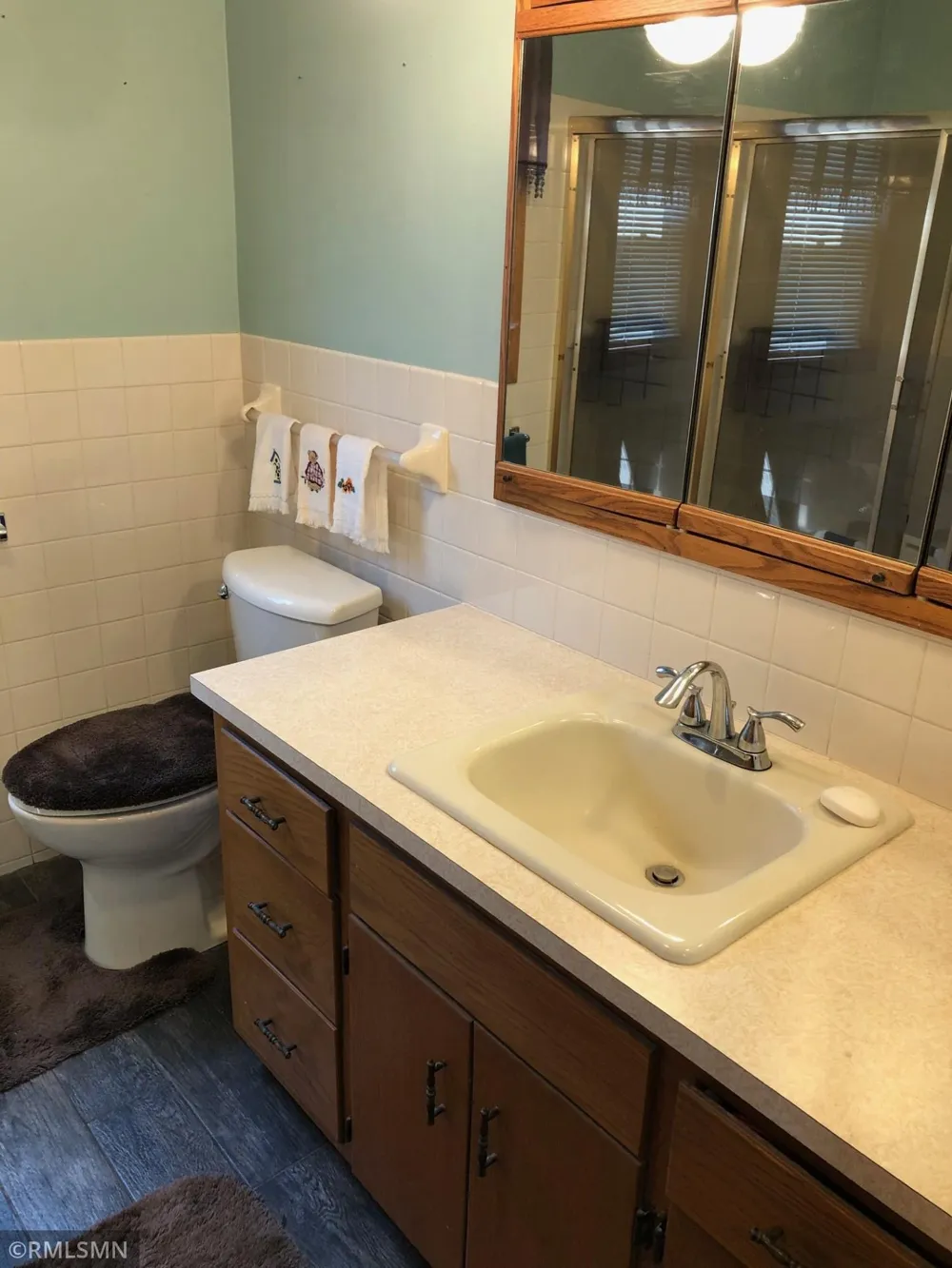 311 W Borden Avenue Buffalo Lake, MN 55314