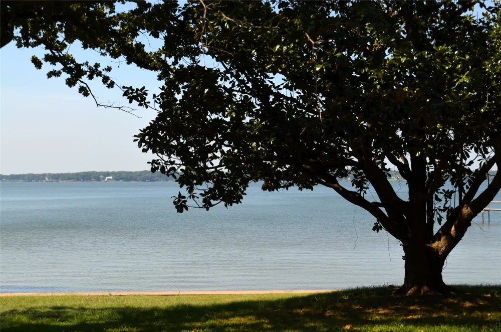121 Autumn Wood Trail Gun Barrel City, TX 75156