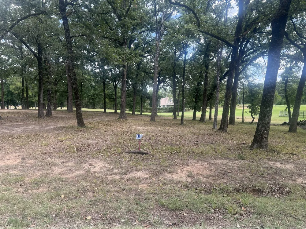 132 Colonial Drive Mabank, TX 75156