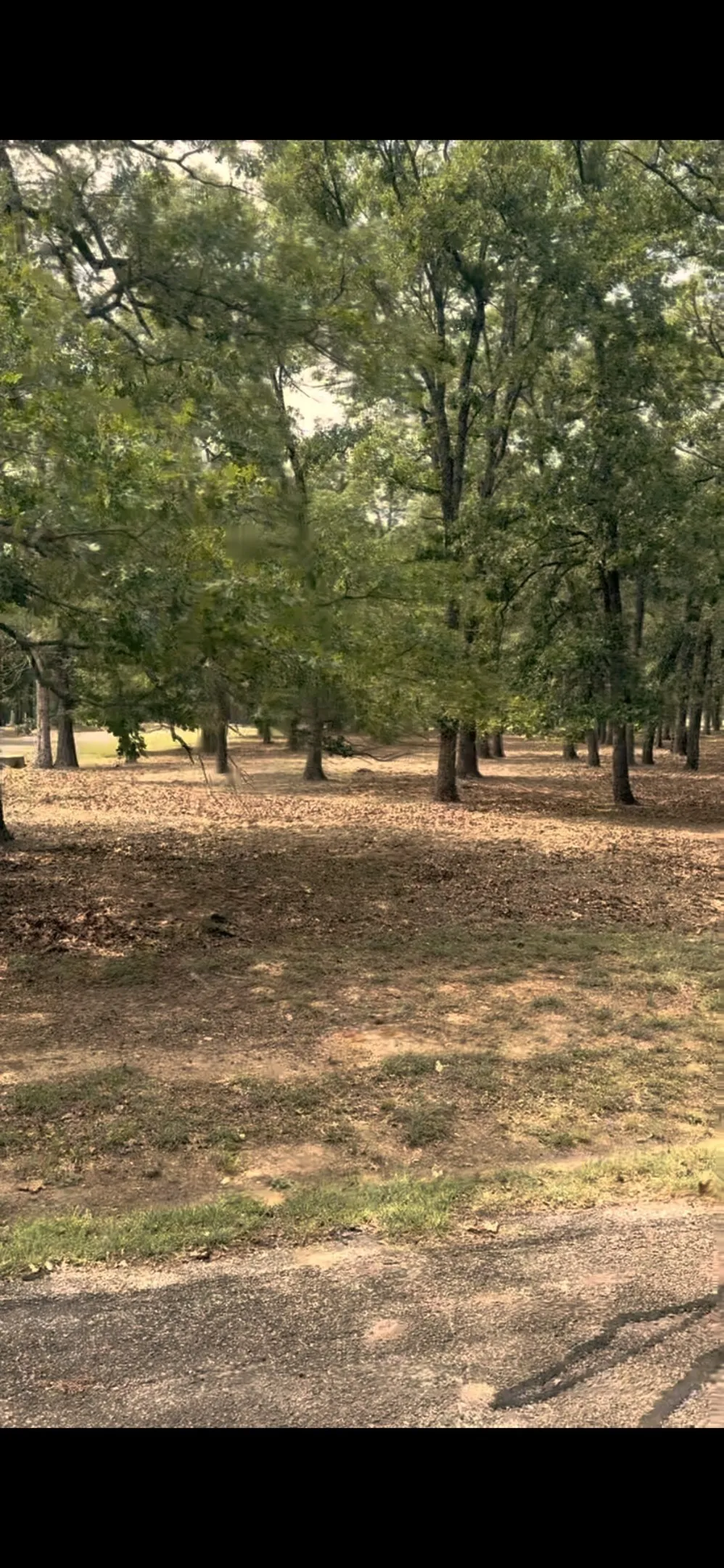 132 Colonial Drive Mabank, TX 75156