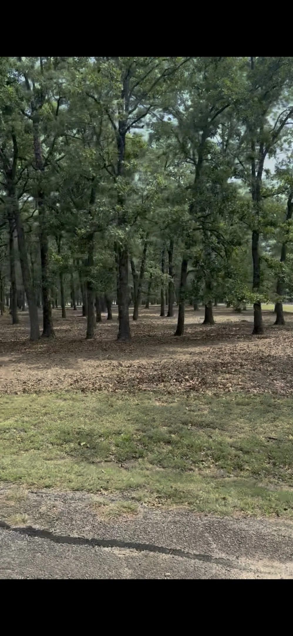 132 Colonial Drive Mabank, TX 75156