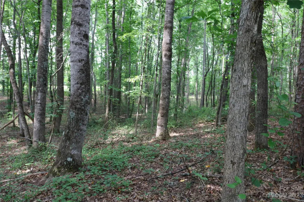 Lot 21 Commercial Drive Forest City, NC 28043