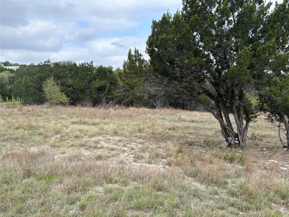 Cave Boulevard Dripping Springs, TX 78620