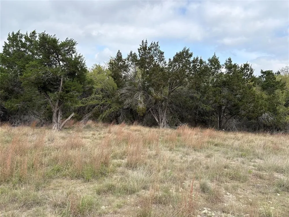 Cave Boulevard Dripping Springs, TX 78620