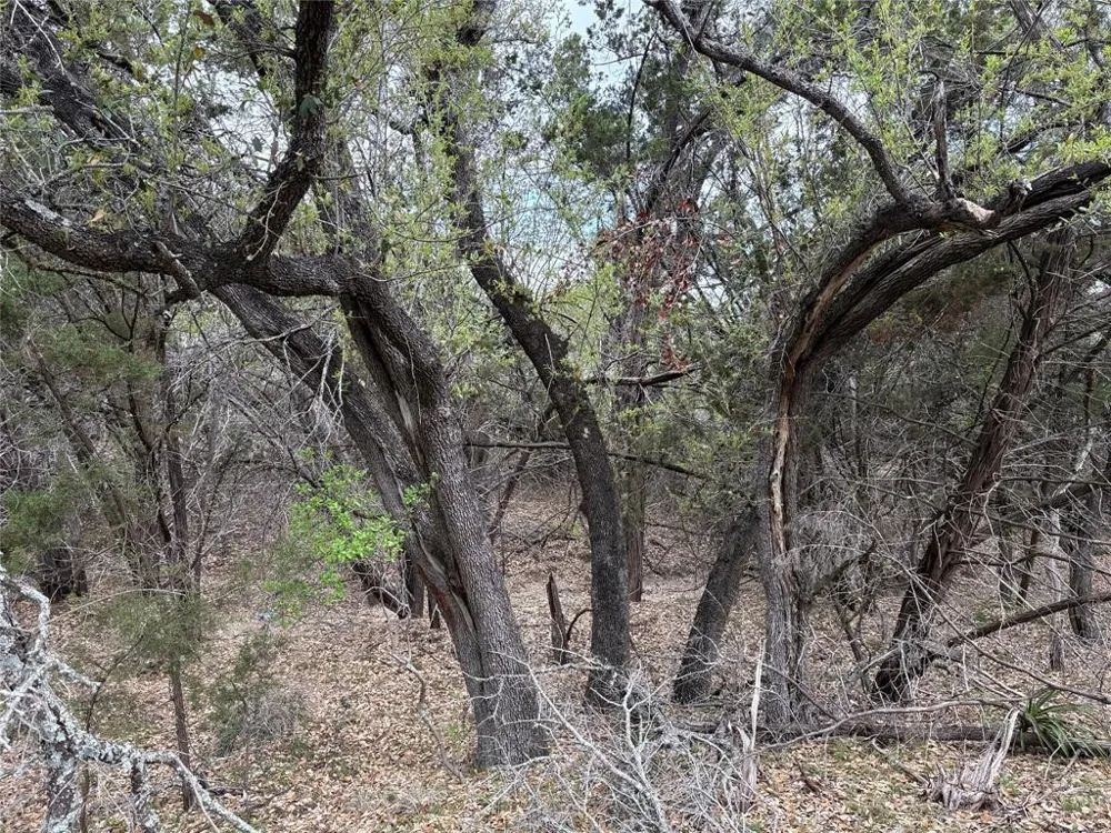 Cave Boulevard Dripping Springs, TX 78620