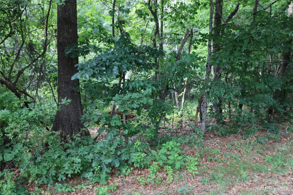 Lot 22 Commercial Drive Forest City, NC 28043