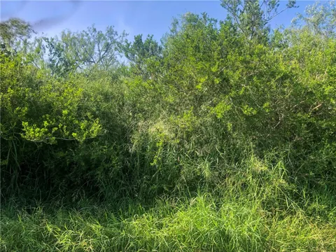 CR 619