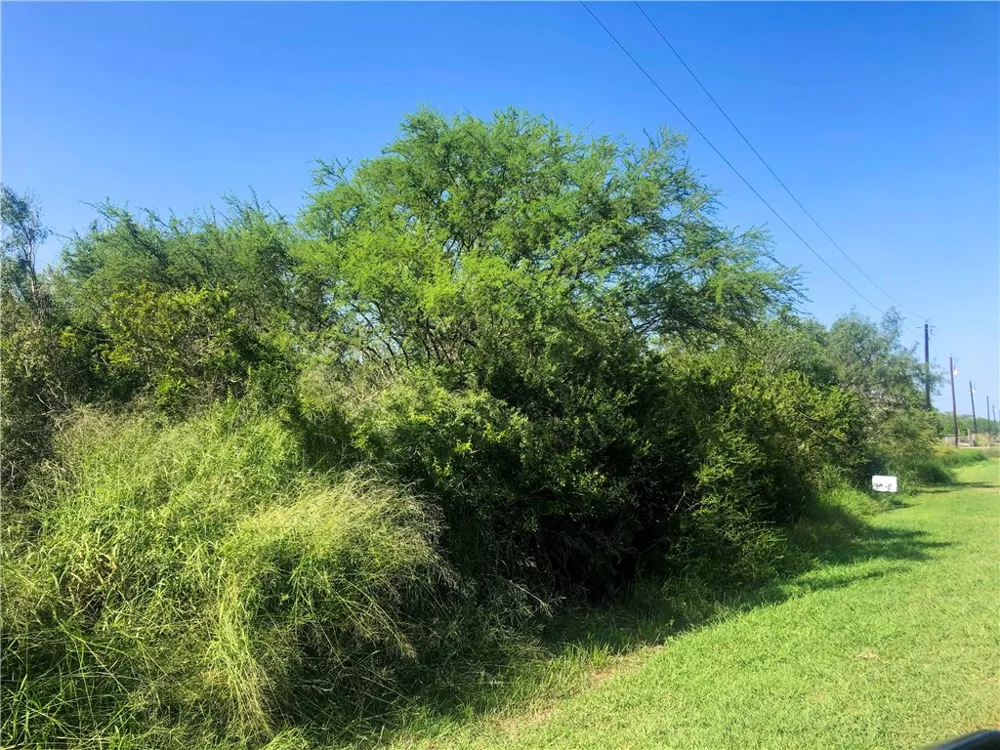 CR 619 Skidmore, TX 78389