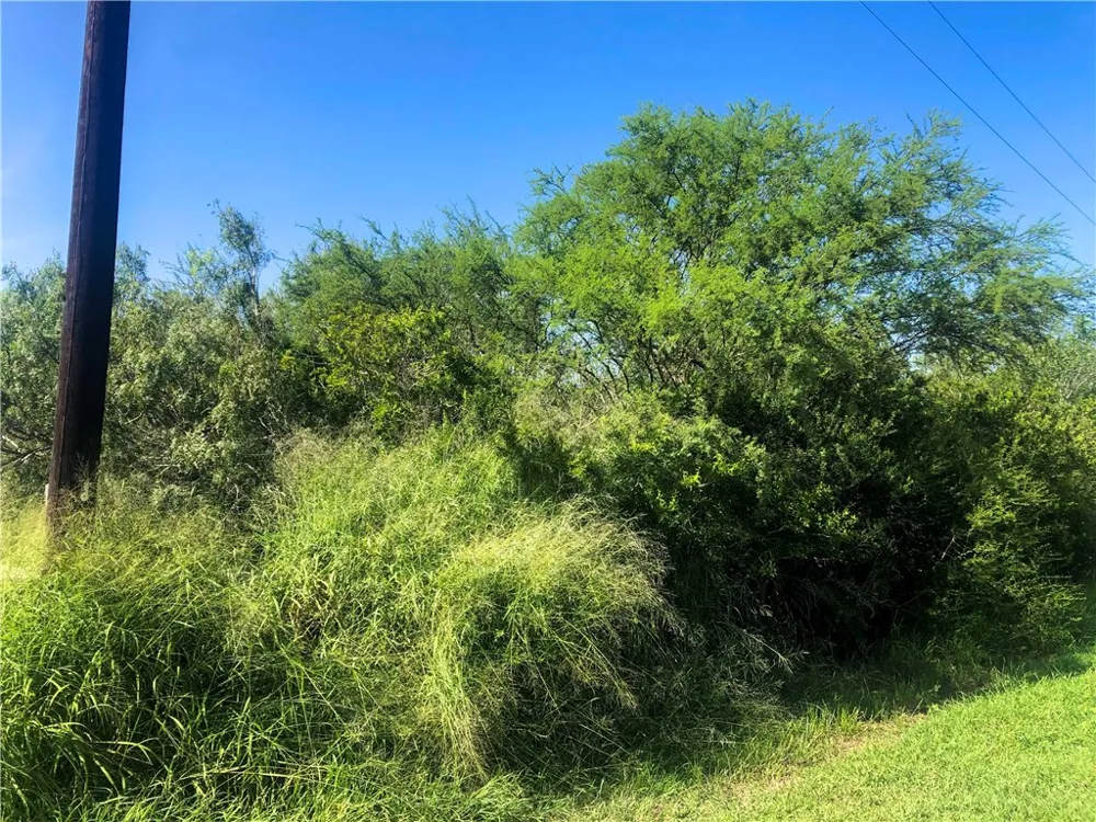CR 619 Skidmore, TX 78389