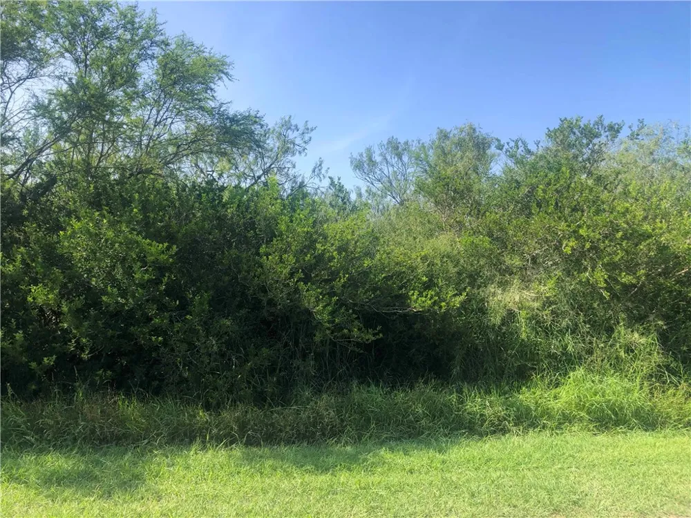 CR 619 Skidmore, TX 78389