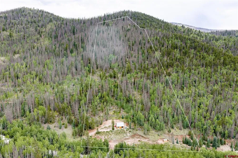 2540 USFS Rd 503 Creede, CO 81130