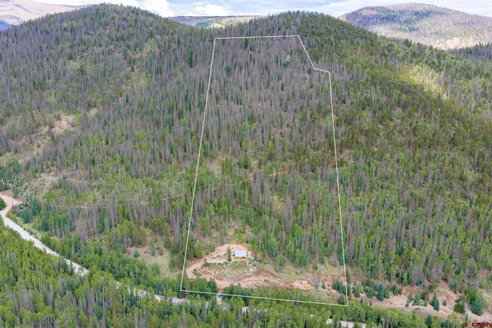 2540 USFS Rd 503 Creede, CO 81130