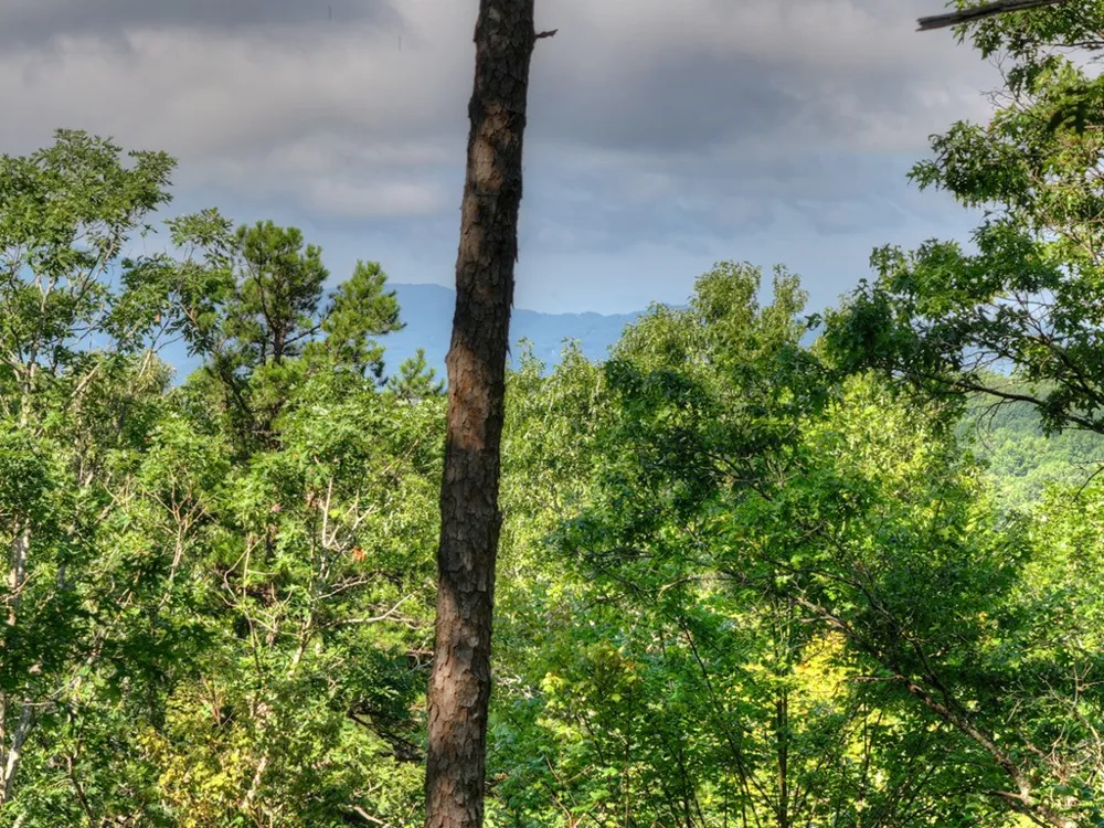 187 Hayden Way Drive Morganton, GA 30560