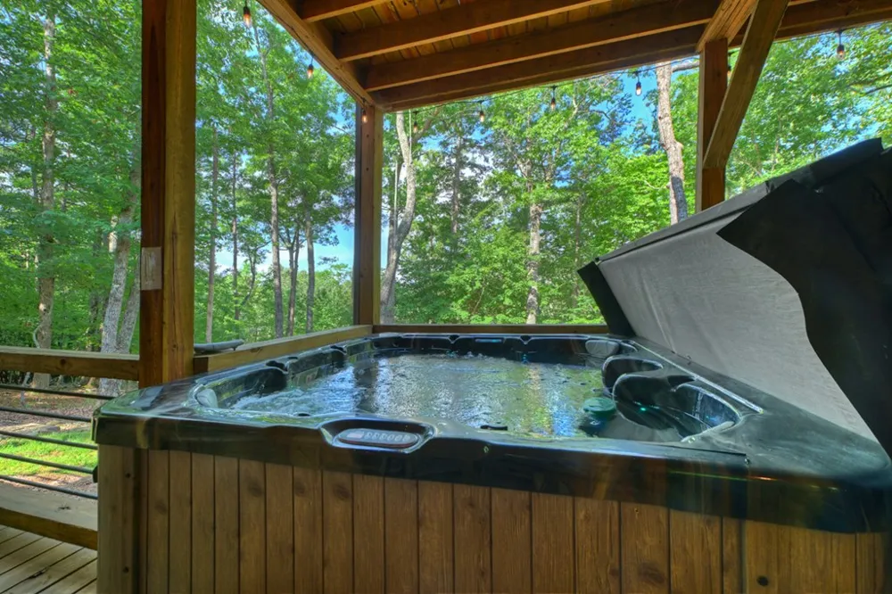 187 Hayden Way Drive Morganton, GA 30560