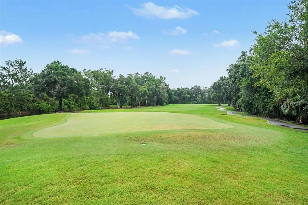 2950 ST ANDREWS BOULEVARD Tarpon Springs, FL 34688
