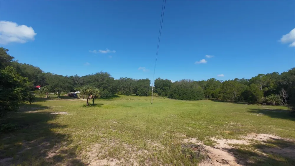 41739 THOMAS BOAT LANDING ROAD Umatilla, FL 32784